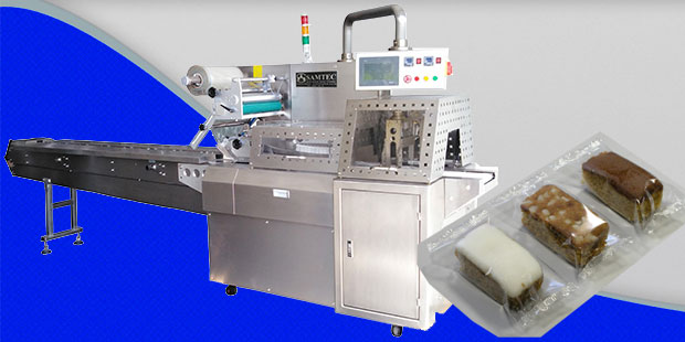 HPMSR450: Horizontal Packaging Machine Servo Reciprocating  