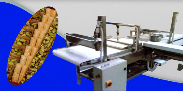 FR800-Finger Roller Machine